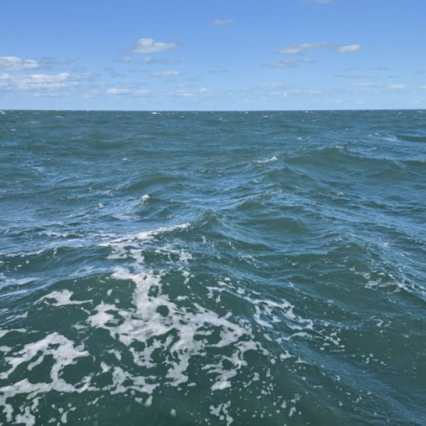 2026 02 03 Highbourne nach Shrout Cay – ein kurzer Schlag